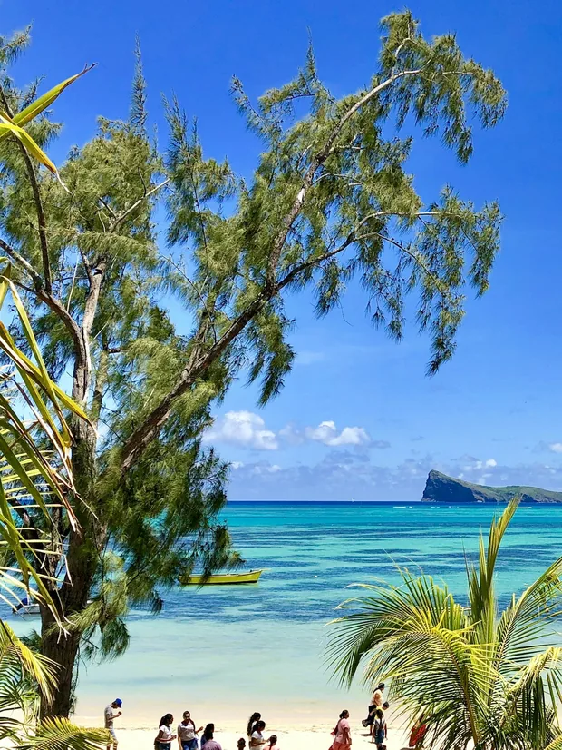 Coin de Mire seen through palm trees in northern Mauritius